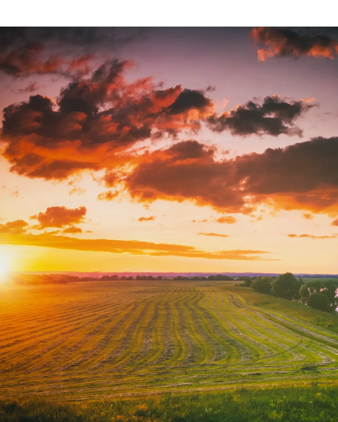 Selling Land