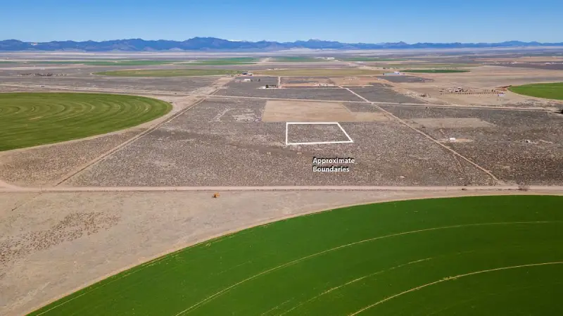 Homestead-opportunity